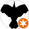 bone B. profile picture
